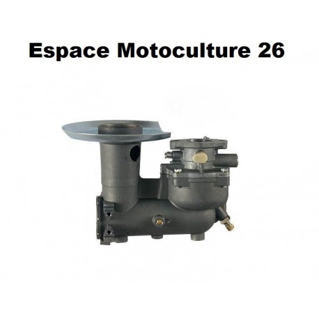 Carburateur adaptable pour Moteur Briggs & Stratton 392587 - 391065 - 391074 - 391992