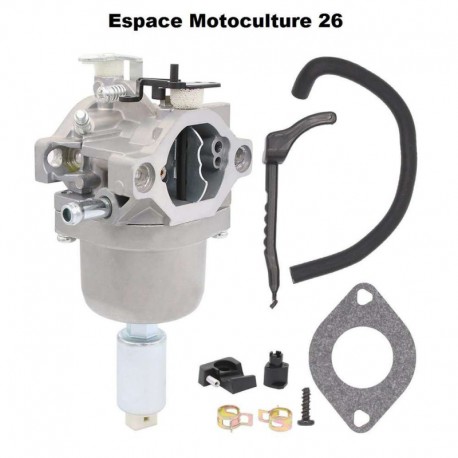 Carburateur adaptable pour moteur BRIGGS & STRATTON 799727 - 791886 - 698620 - 690194 - 499153 - 498061