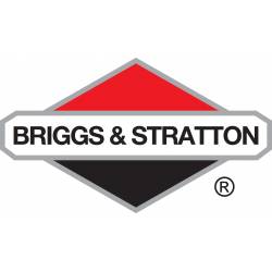 Jeu de segments d'origine BRIGGS & STRATTON Model : 095722