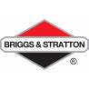 Carburateur d'origine pour Moteur Briggs & Stratton Quantum, 625 Series, 650 Series, 675 Series